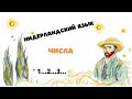 Нидерландский язык 2 урок: числа (2 варианта произношения extra фламандский)