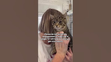 For Any Support. Link in our description to donate, Every little bit counts