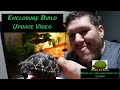 Enclosure Build Update Video