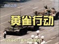 奇幻之旅 黄雀行动20230601012 奇幻之旅 黄雀行动20230601012