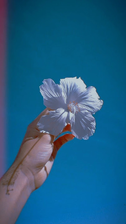 seyyatha👀madhavam neeye👀kadhalada kadhalada kaathiruntheane song WhatsApp status #shortsfeed #music