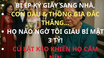 Bị ép KÝ GIẤY sang nhà – Cú LẬT KÈO của tôi khiến con dâu và thông gia CÂM NÍN