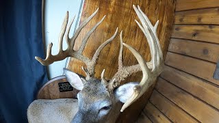 Giant Adirondack Buck: Colt Russell and his story of the highest scoring buck in the Northeast 2021