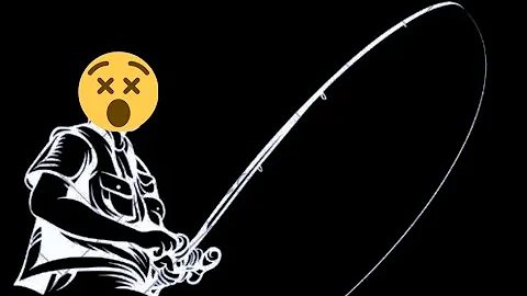 North wales sea fishing CONGER EELS