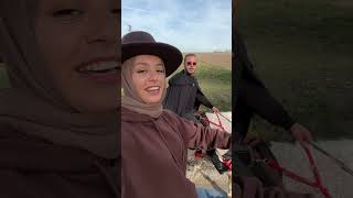 Dört Nala ❤️ Resimi