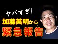 37.【緊急報告】加藤英明が佐渡島でサドガエルの危機を目撃！