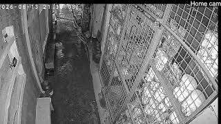 Lola's Home - Home Cam- My Everyday life