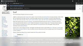Cool Wikipedia Hack