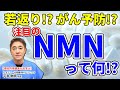 若返り、がん予防や糖尿病にも効果があり！？　話題のサプリメント　NMNって何ですか？　教えて平島先生　No117