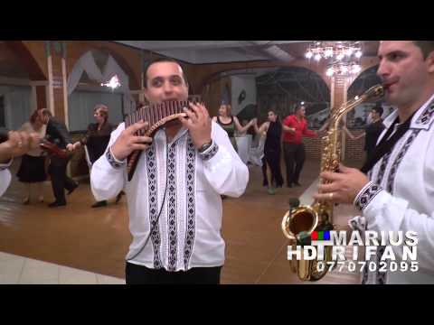 Dumitru Vasilescu 2014 - Nunta Strehaia, Full HD 05