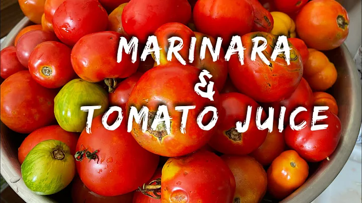 Homemade Marinara with a bonus-  Tomato Juice for ...
