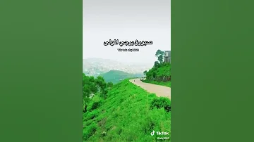 الا يا الله عليك المغفرة والستر والتيسير 