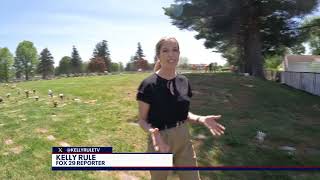Cold Case: Baby Jane Doe Cold Case