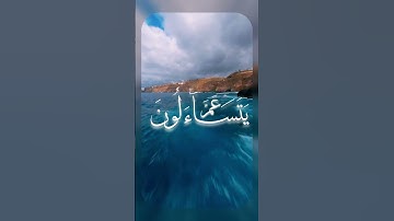 عَمَّ يَتَسَاءَلُونَ | #الشحات_أنور | سورة النَّبَإِ