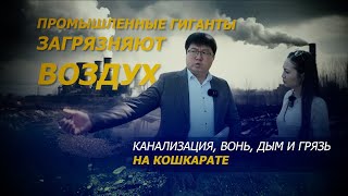 Загрязнители воздуха. Куда звонить, если дышать нечем? Что не так с речкой Кошкарата?