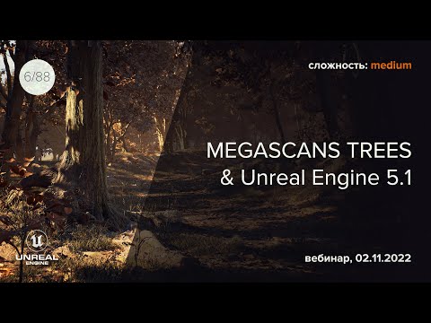 Unreal Engine 5.1 и Megascans Trees: рисуем сцену с лесом и изучаем нововведения движка!