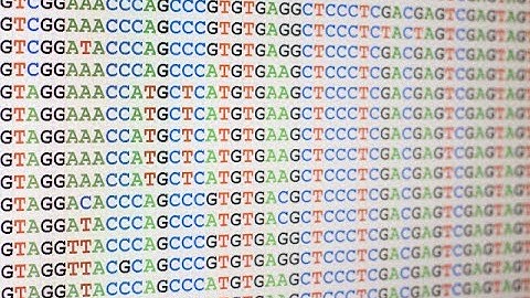 Example of Pairwise Sequence Alignment