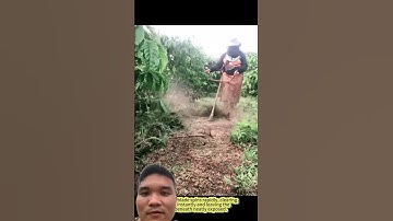 Cắt Cỏ Bằng Dây Cước #farming