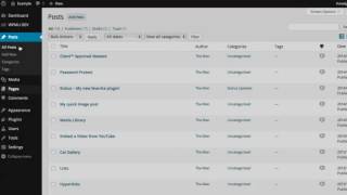 WordPress How To Video the visual editor editing text how to use wordpress video