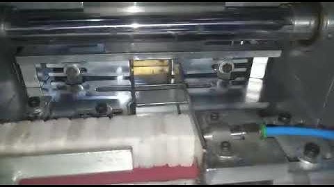 Automatic Camphor Packaging Machine