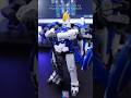 プレバン限定RGトールギスIIがエレガントすぎた！#modelkit #gundam #gunpla #ガンプラ #ガンダム #plamo #shorts