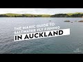 The manic guide to saltwater fly fishing in auckland