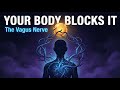 Heal Your Vagus Nerve To Unblock Manifestation