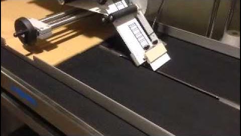 LCP Carton Label Applicator
