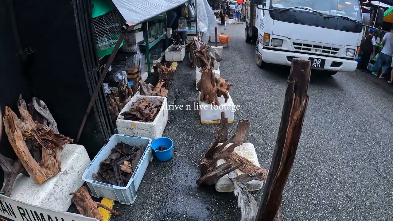 8K Video Pasar Pudu Terbaru Ikan Hiasan #8kvideo #ikanhias #jalanpasar #pasarpudu