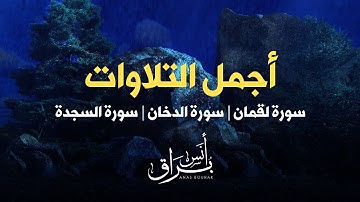 تلاوة مباركة لـ  سور لقمان والسجدة والدخان | أنس براق
