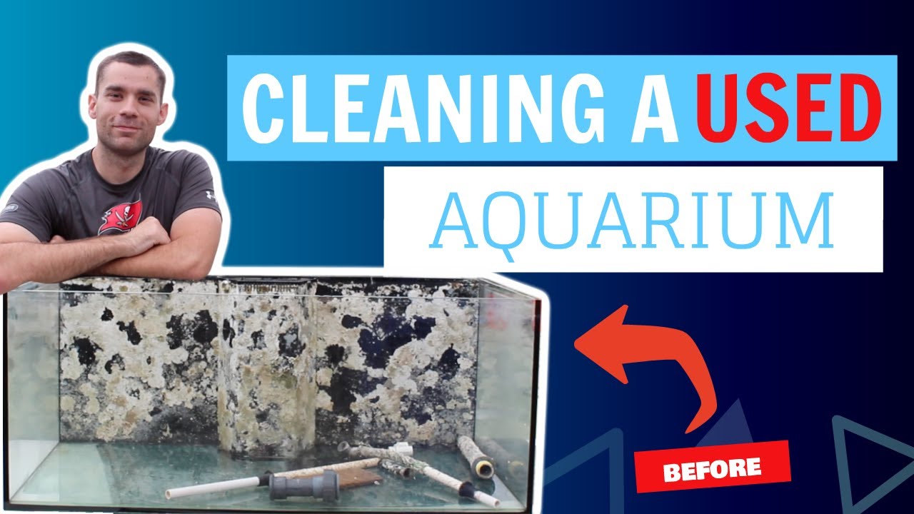 Cleaning my dirty used Aquarium 100 Gallon Reef Tank YouTube