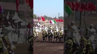 من مشاركة سربة  البحراوي شرف من اقليم اسفي 🇲🇦، خيول 🐎 ما شاء الله واداء ممميز 💣💣، مباراة بوزنيقة