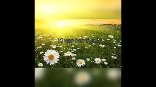 Junom bad phi -tyrha lyrics khasi song ram Suchiang new song