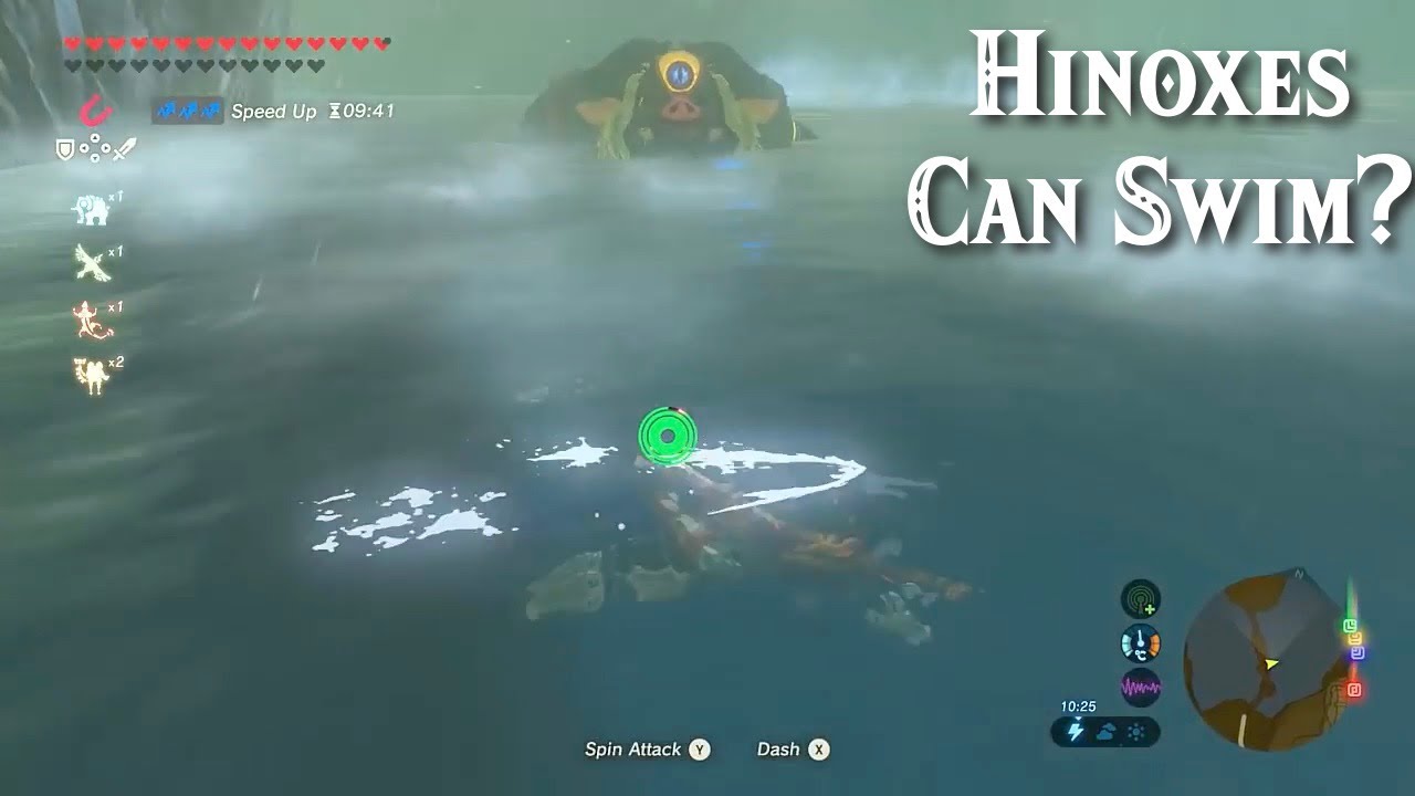 Hinox swimming