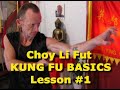 SHAOLIN KUNG FU ONLINE - 蔡李佛  - Choy Li Fut Basics - LESSON ONE