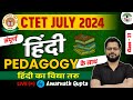 CTET July 2024 - Hindi Complete Pedagogy | हिंदी | Hindi for Teaching Exams | Amarnath Sir