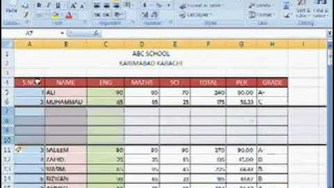Free Learn Microsoft Excel 2007 Urdu Video Course Class 20