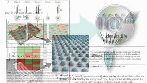Biotechnology Patent: DNA Microarrays | Demonstratives | ESi
