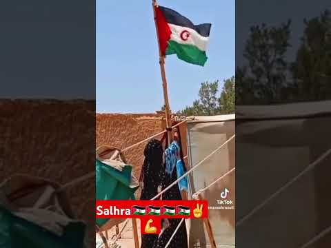 الصحراء الغربية