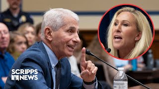 Dr. Anthony Fauci grilled by House Republicans over COVID-19