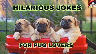 Pug-licious Laughter: 30 Jokes to Make You Howl with Pug-joy! by Fantastic animals 26 views 9 months ago 7 minutes, 14 seconds