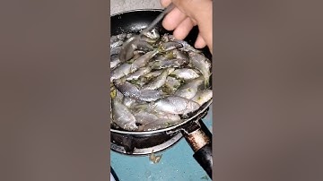 đặc sản tây Nguyên cá suối nguyên bản ăn khỏi phê