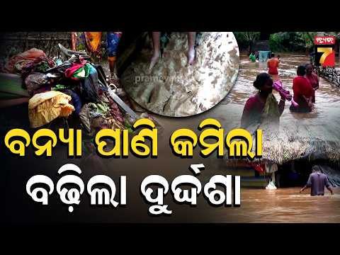 ବନ୍ୟା ଜଳ କମିଲା,ବଢ଼ିଲା ଦୁର୍ଦ୍ଦଶା; NH-326ର ପୋଲ କ୍ଷତିଗ୍ରସ୍ତ, ଯାତାୟାତ ଠପ୍ |Flood Situation in Malkangiri