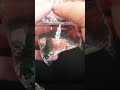 Live Betta Unboxing March 2021 #guppycentral #bettaunboxing