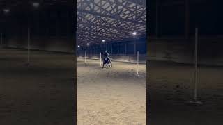 Poles at WASET practice#almost fell over# Patron 🐴 🐎