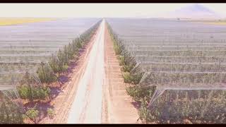 Haknersan Tel Direk Ve File Sistemleri