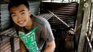 Ayam Siam punya pasal