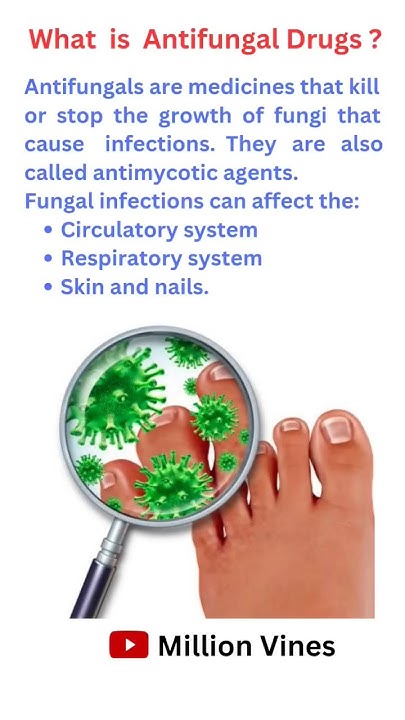 what-is-antifungal-drug-antifungal-pharmacy-ytshorts-shortsfeed