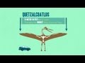 Dinosaurs and Their Evolution