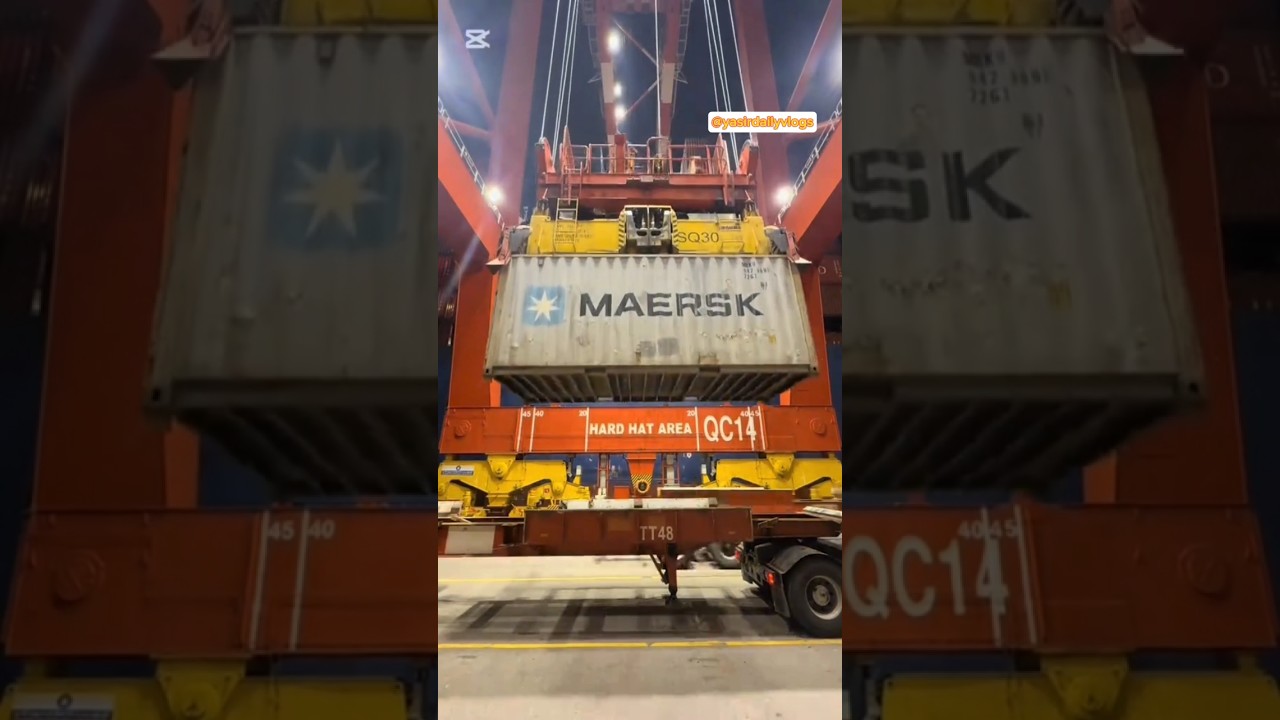 Check Out the Container Scene at Sri Lanka Port! 🇱🇰